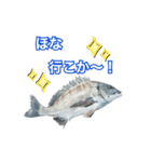 チヌ釣り師専用スタンプ関西弁（個別スタンプ：8）