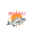チヌ釣り師専用スタンプ関西弁（個別スタンプ：9）