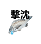 チヌ釣り師専用スタンプ関西弁（個別スタンプ：12）