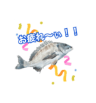 チヌ釣り師専用スタンプ関西弁（個別スタンプ：13）