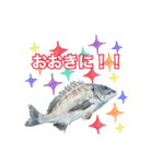 チヌ釣り師専用スタンプ関西弁（個別スタンプ：14）