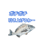 チヌ釣り師専用スタンプ関西弁（個別スタンプ：19）