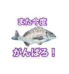 チヌ釣り師専用スタンプ関西弁（個別スタンプ：21）