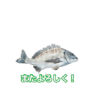 チヌ釣り師専用スタンプ関西弁（個別スタンプ：23）