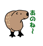 カピバラ生活スタンプ2（個別スタンプ：1）