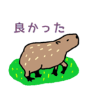 カピバラ生活スタンプ2（個別スタンプ：2）