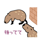 カピバラ生活スタンプ2（個別スタンプ：22）