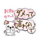 シーズー犬 110『♥がいっぱい』（個別スタンプ：13）