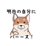 ダラけた動物達のスタンプ（個別スタンプ：25）