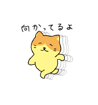 気軽に使える！ゆる猫365日（個別スタンプ：10）