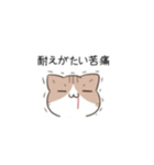 毎日5月病なねこたち。（個別スタンプ：1）