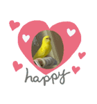 可愛い！インコちゃん（個別スタンプ：4）