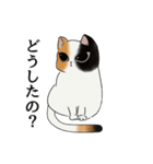 毎日たのしい三毛猫スタンプ【修正版】（個別スタンプ：26）