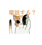 毎日たのしい三毛猫スタンプ【修正版】（個別スタンプ：27）