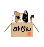 毎日たのしい三毛猫スタンプ【修正版】（個別スタンプ：34）