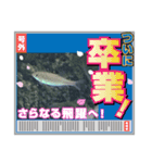 意味なしスタンプs.（個別スタンプ：1）