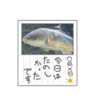 意味なしスタンプs.（個別スタンプ：6）
