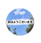 natural  color（個別スタンプ：1）