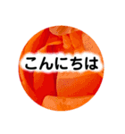 natural  color（個別スタンプ：5）