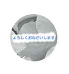 natural  color（個別スタンプ：8）
