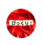 natural  color（個別スタンプ：9）