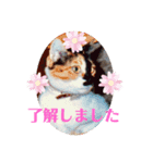 斉木家のねこ達2（個別スタンプ：5）