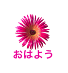 春の花シリーズ（個別スタンプ：1）