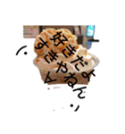 あなたの笑顔が世界を救う(ㆁᴗㆁ✿（個別スタンプ：3）