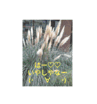 あなたの笑顔が世界を救う(ㆁᴗㆁ✿（個別スタンプ：4）