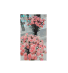 あなたの笑顔が世界を救う(ㆁᴗㆁ✿（個別スタンプ：16）