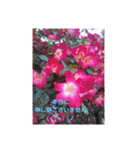 あなたの笑顔が世界を救う(ㆁᴗㆁ✿（個別スタンプ：25）