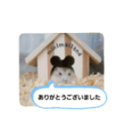 敬語だけではないハムスタースタンプ（個別スタンプ：2）