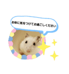 敬語だけではないハムスタースタンプ（個別スタンプ：9）