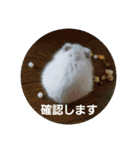 敬語だけではないハムスタースタンプ（個別スタンプ：11）