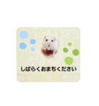 敬語だけではないハムスタースタンプ（個別スタンプ：15）