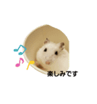 敬語だけではないハムスタースタンプ（個別スタンプ：22）