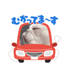 はんなver（個別スタンプ：13）