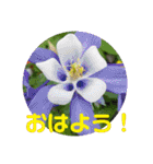 ゆきちゃん宅スタンプ31（個別スタンプ：1）