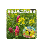 ゆきちゃん宅スタンプ31（個別スタンプ：2）