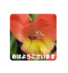 ゆきちゃん宅スタンプ31（個別スタンプ：5）