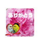 ゆきちゃん宅スタンプ31（個別スタンプ：10）