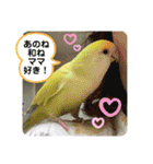 ゆきちゃん宅スタンプ31（個別スタンプ：12）
