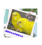 ゆきちゃん宅スタンプ31（個別スタンプ：16）