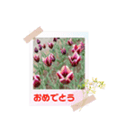 ゆきちゃん宅スタンプ31（個別スタンプ：17）