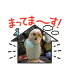 ゆきちゃん宅スタンプ31（個別スタンプ：18）