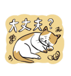 毎日使える日常会話、猫（個別スタンプ：15）