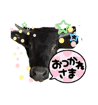 福島県♡牛とカツ丼♡写真スタンプ（個別スタンプ：32）