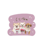 ♡。様2（個別スタンプ：1）