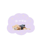 ♡。様2（個別スタンプ：7）