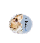 ♡。様2（個別スタンプ：10）